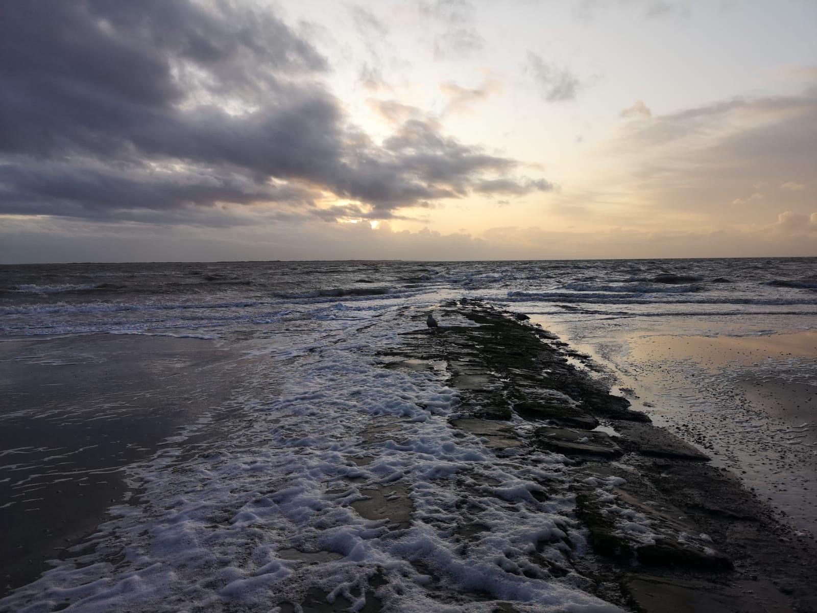 Buhne im Sturmhimmel mit Möwe und Wolkenlücke am Horizont