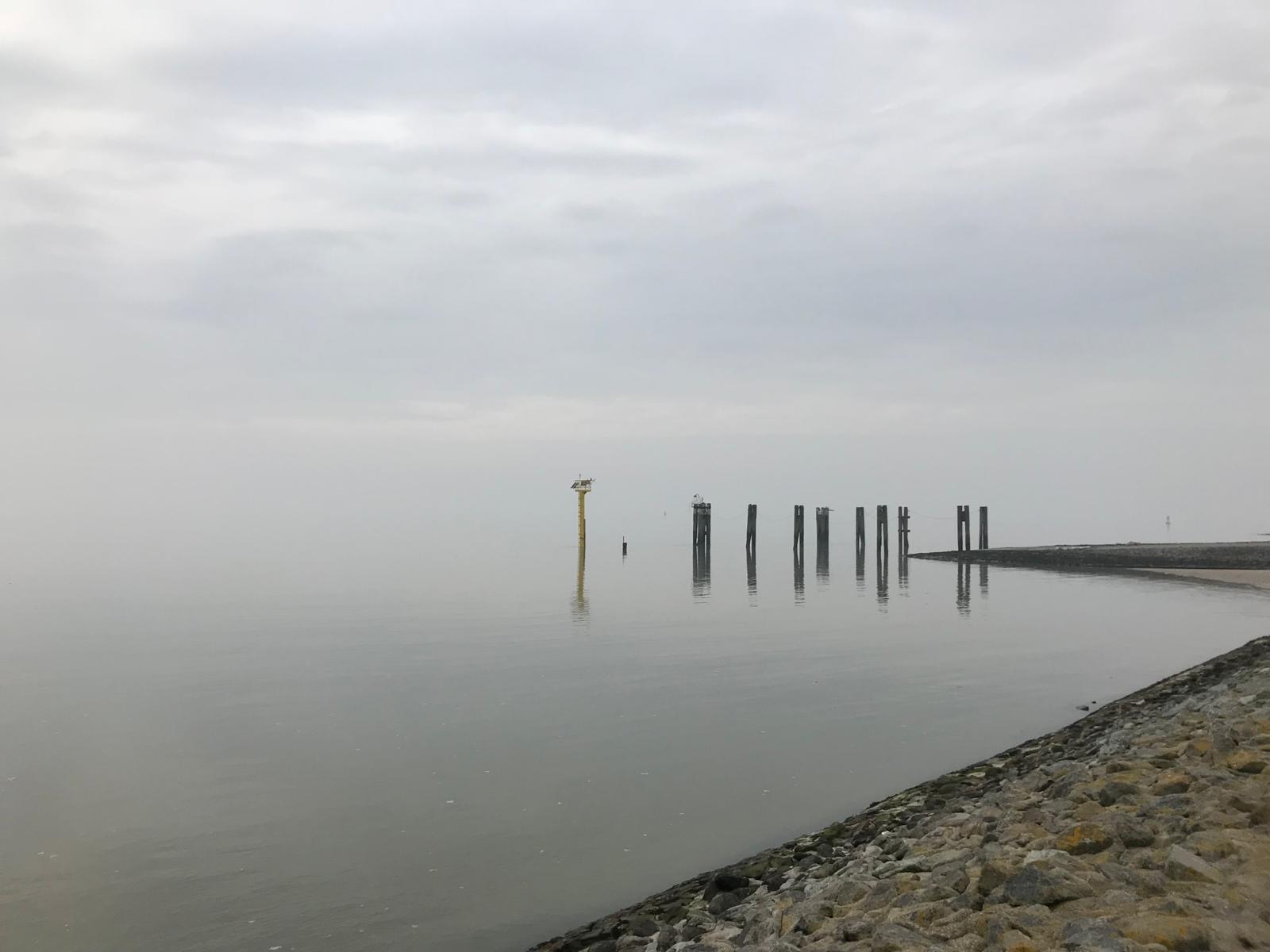 Buhnen im Nebel bei spiegelglattem Wasser