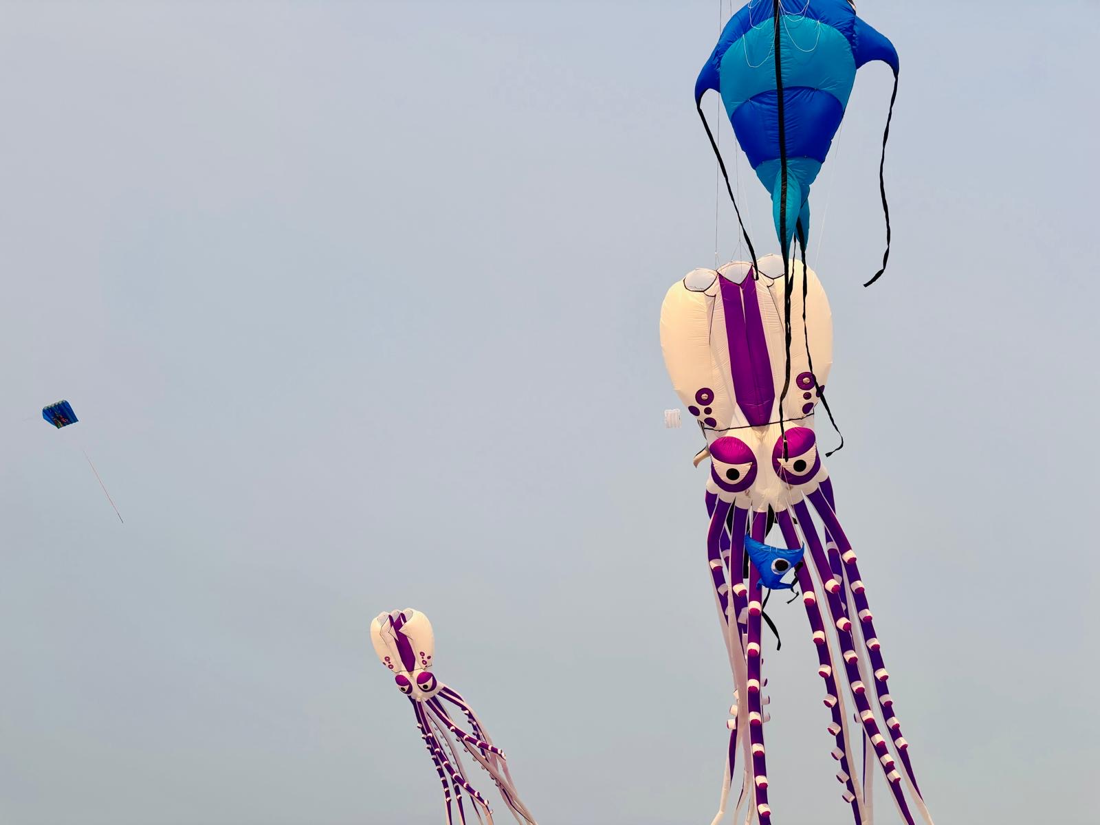 Oktopus-Drachen am Himmel beim Drachenfest